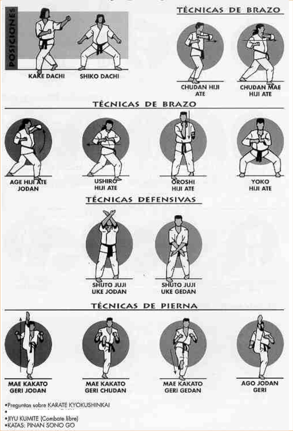 KARATE KYOKUSHIN BREDA KYUS