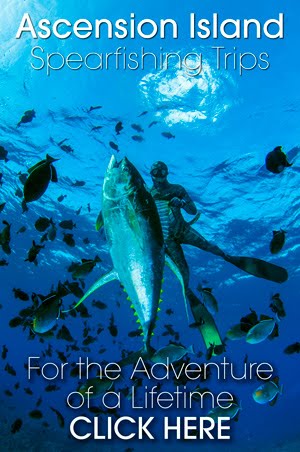 Spearfishing Ascension Island