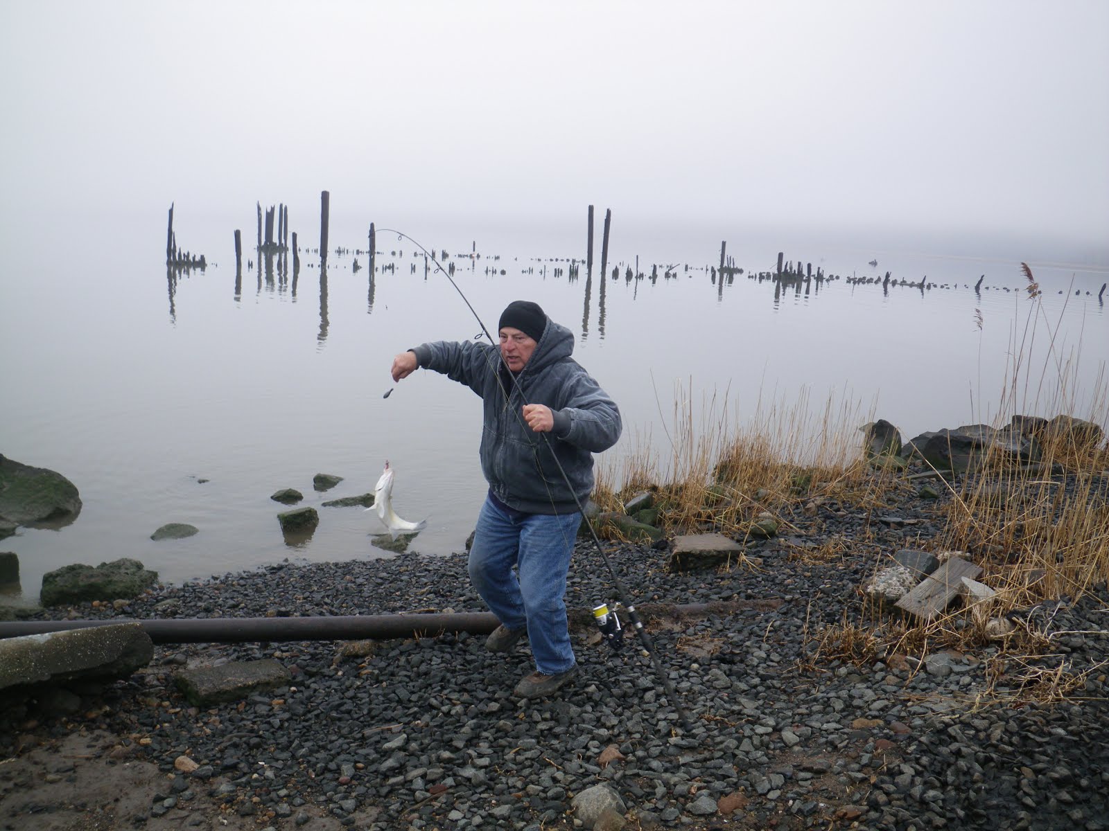 Frogma Fish on Friday The Fish Guru of Piermont Pier