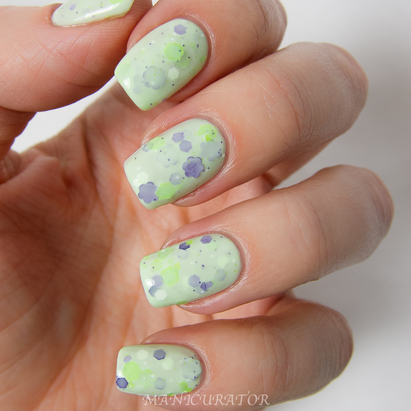 KBShimmer_Spring_2014_Daisy_About_You