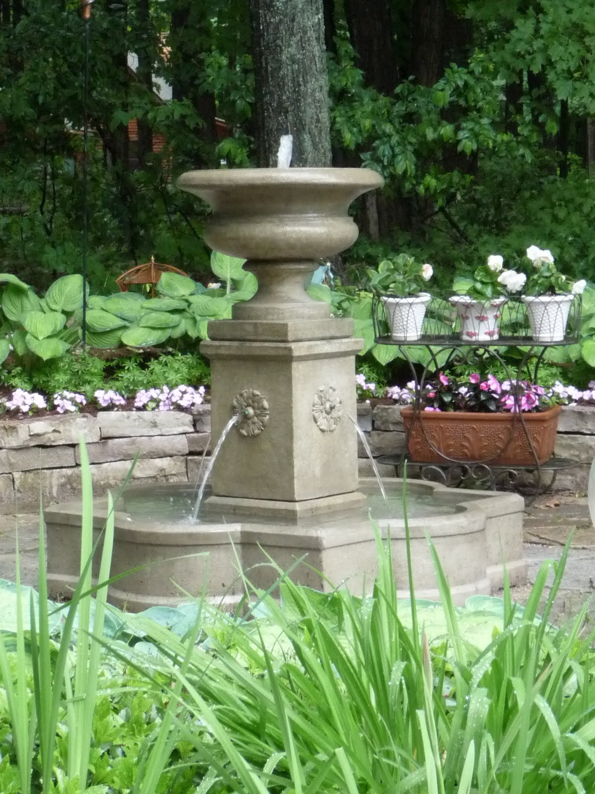 Weigela Sonic Bloom Pink Buy Weigela Shrubs Online