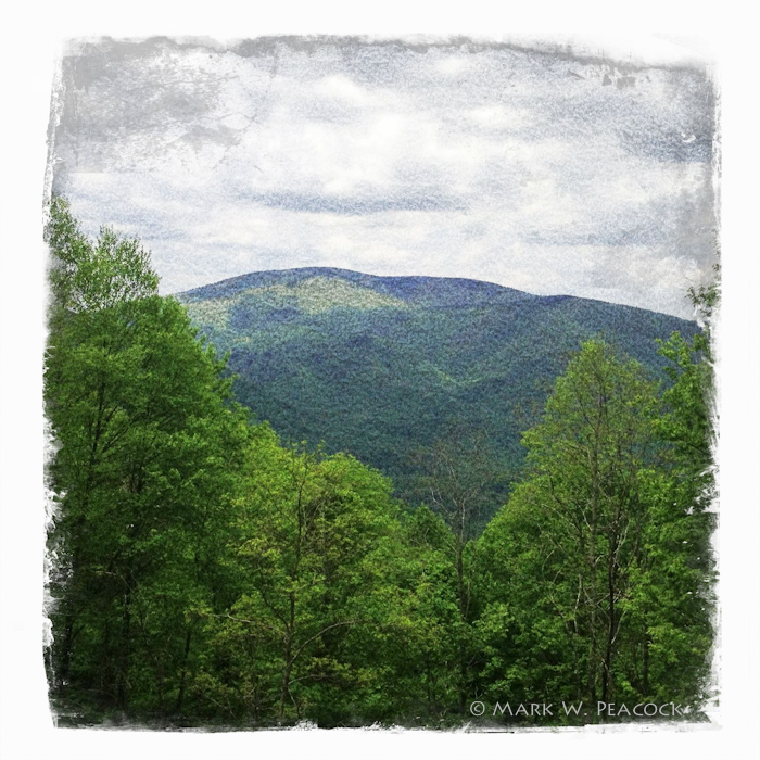 Appalachian Treks Iron Mountain Gap to Hughes Gap