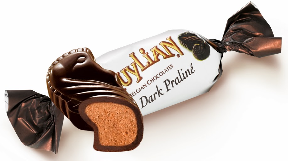 Guylian Belgian Chocolate Truffles Review and Giveaway Wrapped Up N U