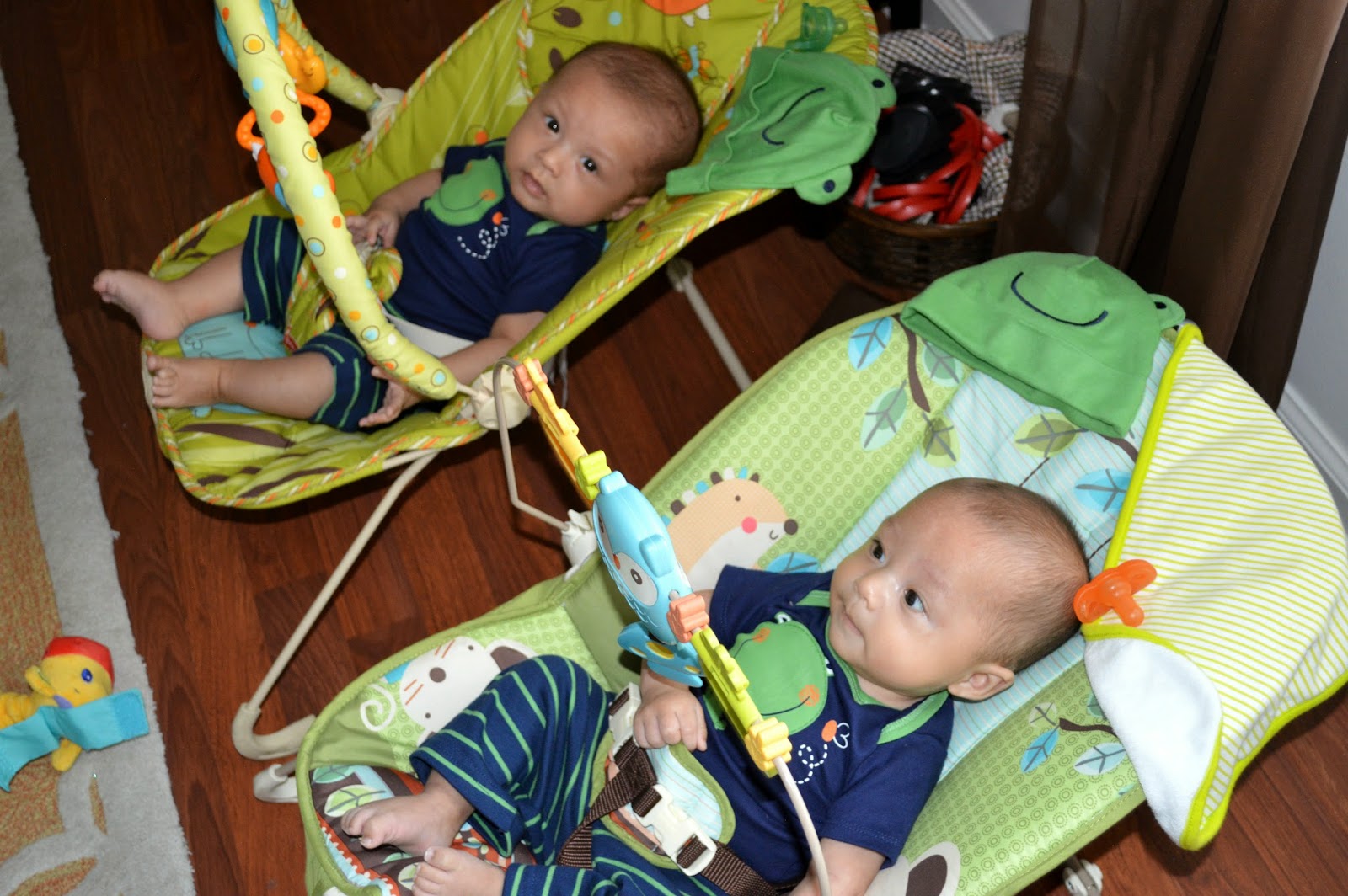 Loving Life Baby Equipment for Twins