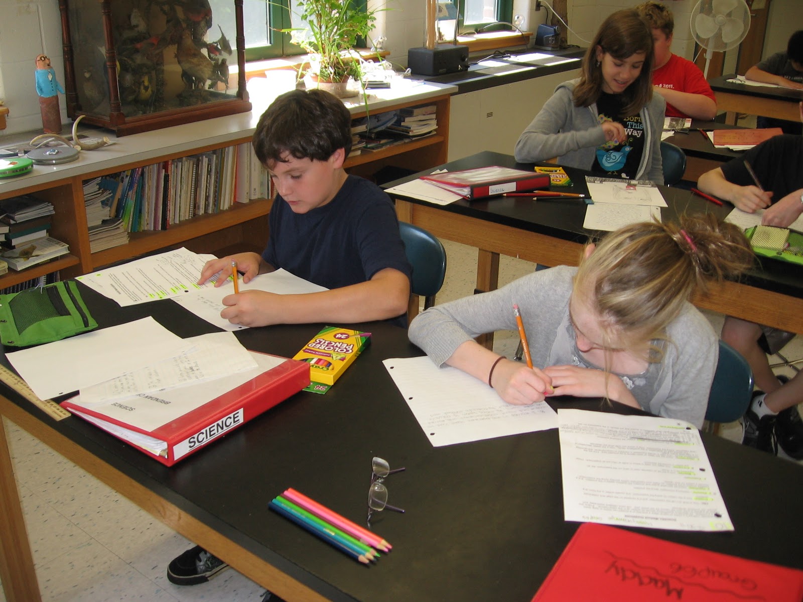 Mr. Williams 6th Grade Science Blog: Bubbles experiment, continued
