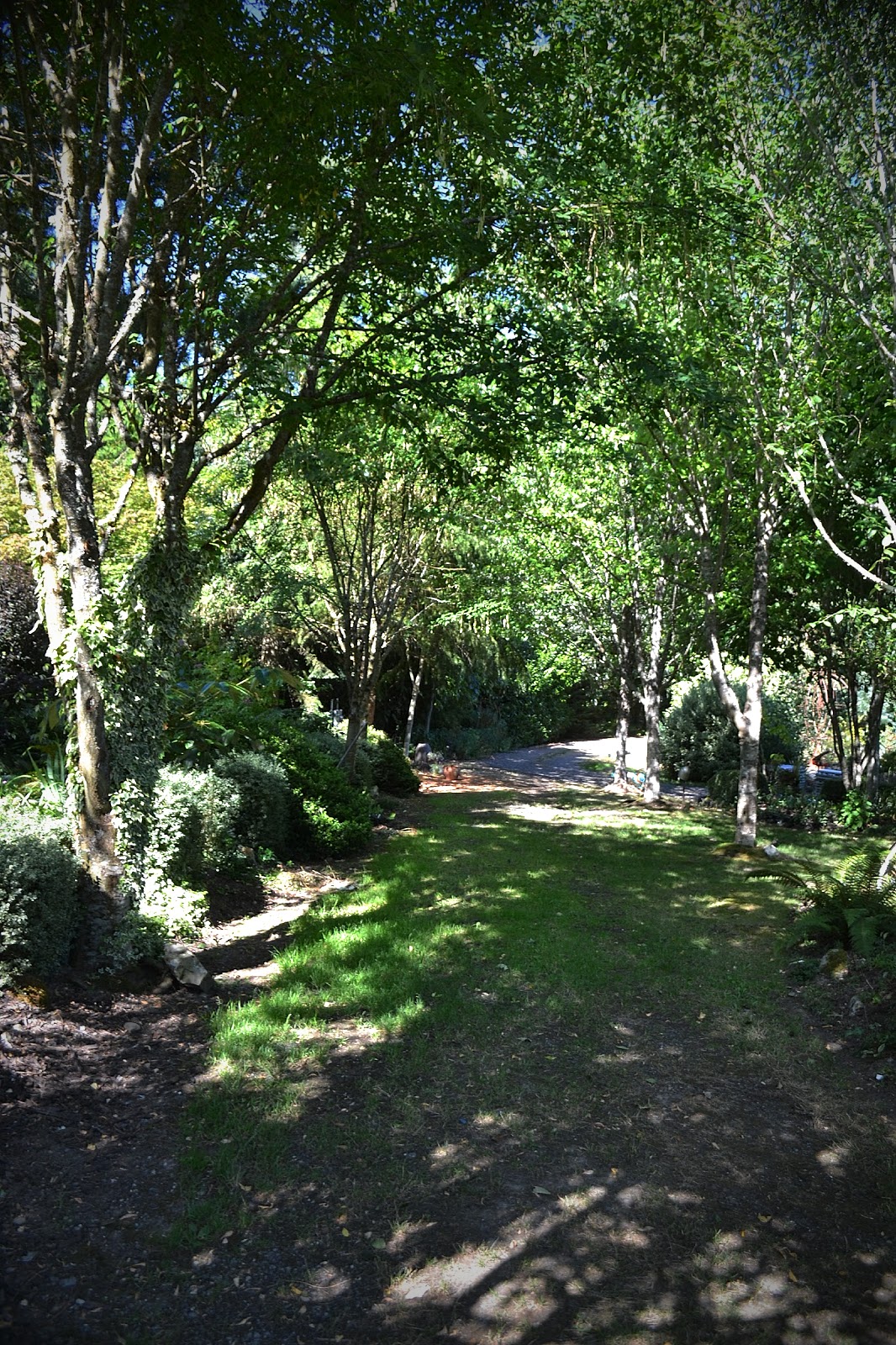 The Outlaw Gardener Dragonfly Farms Nursery Ave atque vale