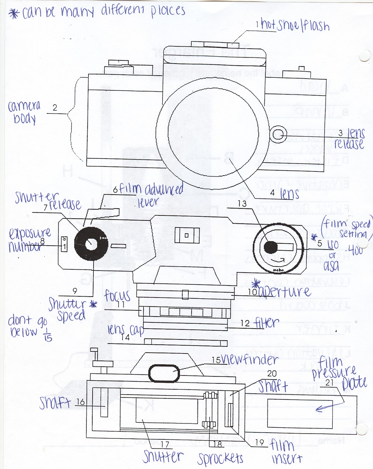 Taylor's Journal Enlarger and Cameraassignment 1