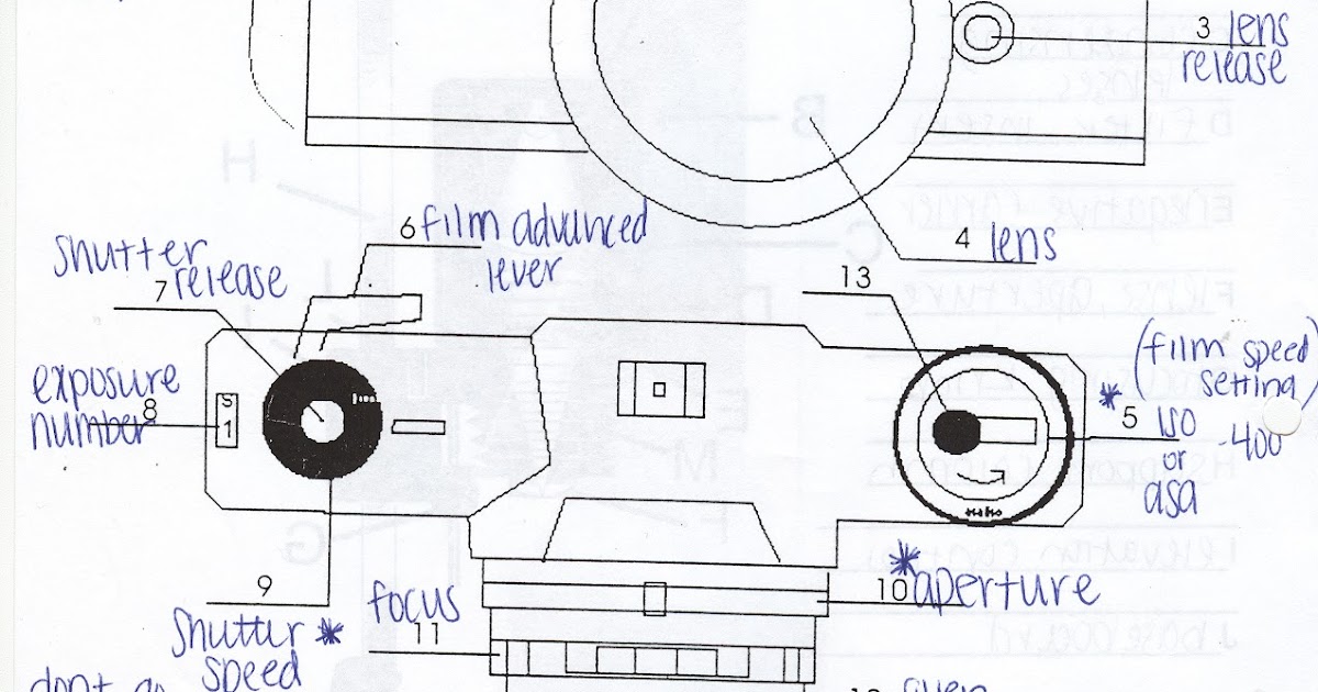 Taylor's Journal Enlarger and Cameraassignment 1