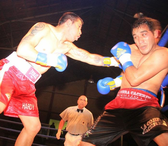 Guantes Kick Boxing, Muay Thai, Morales, Artes Marciales Mixtas, MMA, Rosa,  14 oz.