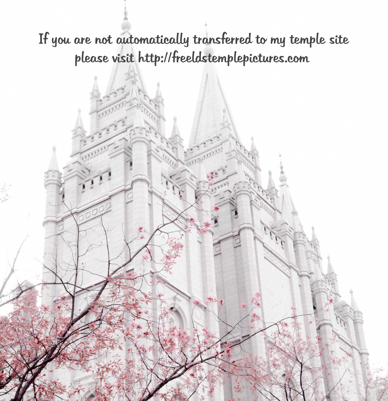 Free LDS Temple Pictures