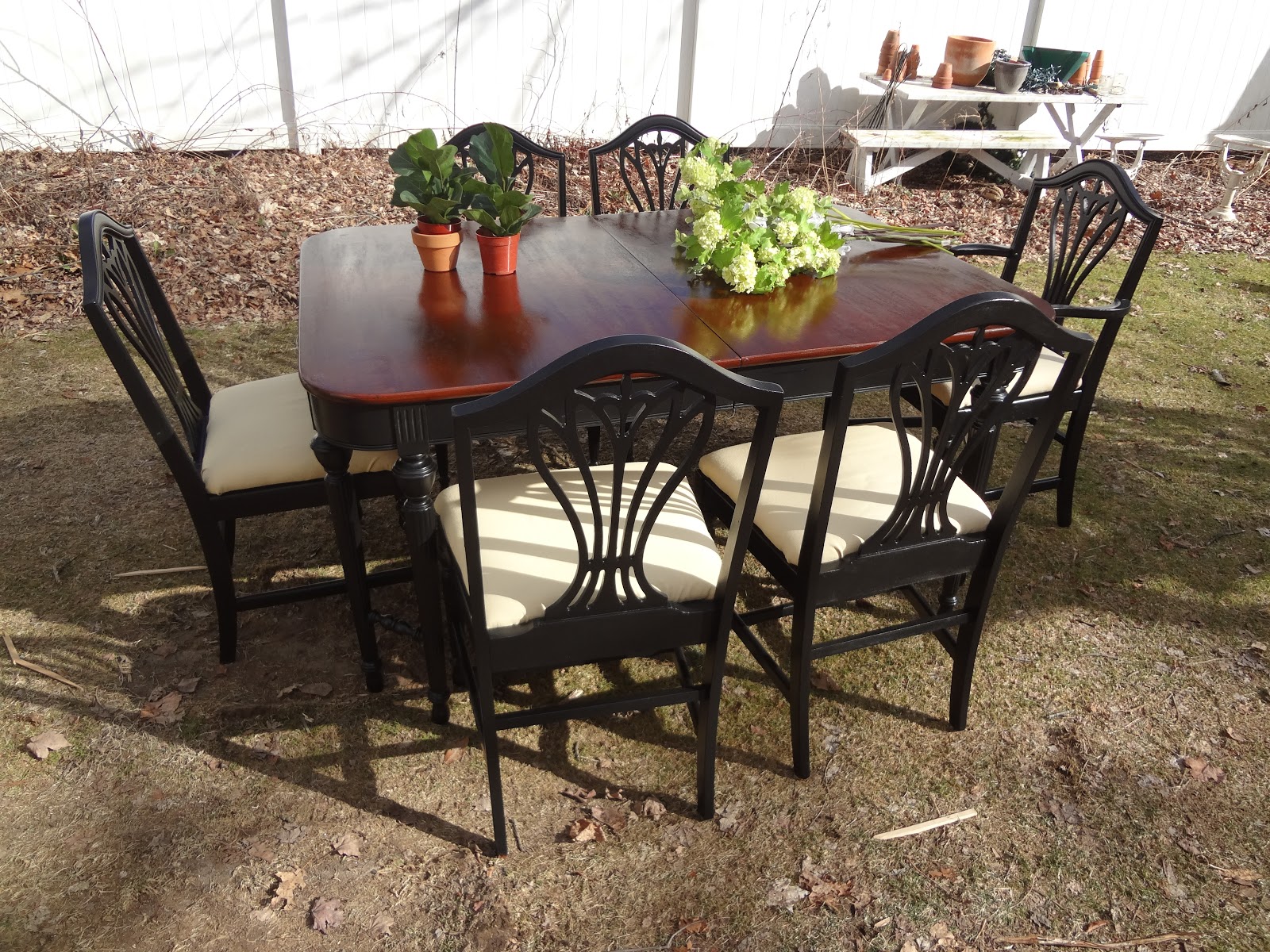 Heir and Space An Elegant Mahogany Dining Set