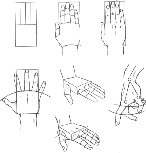 Desenho de figuras para iniciantes - como desenhar mãos, JW Learning