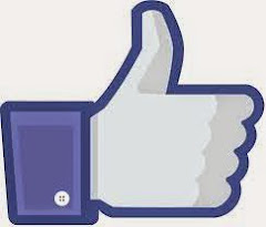 SEGUIR FACEBOOK