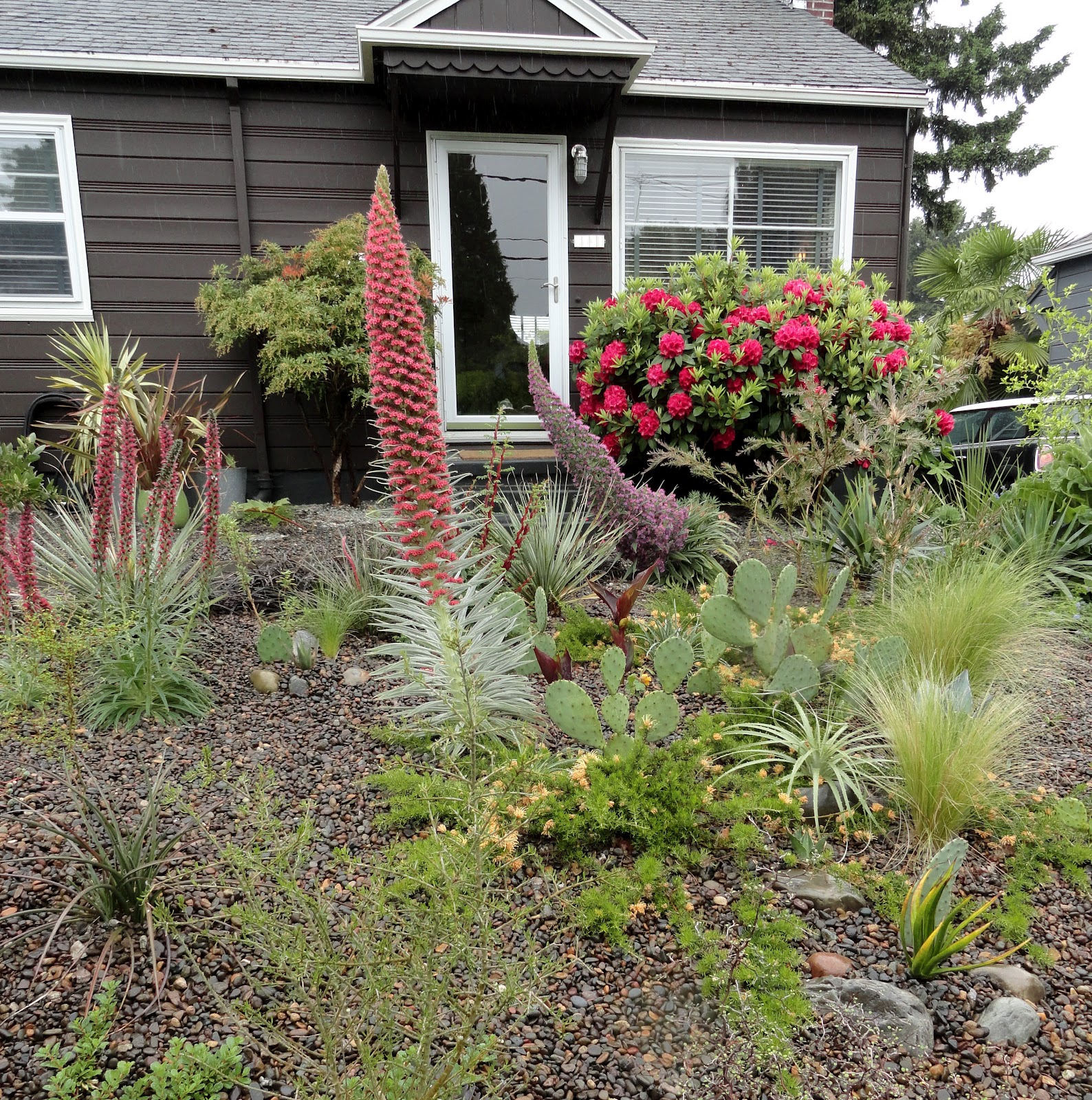 danger garden: May 2012