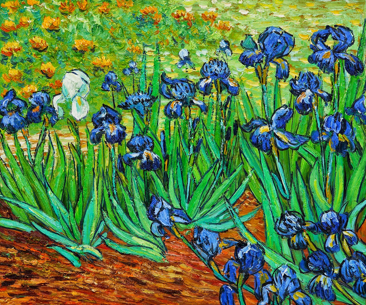 phải - Danh họa Van Gogh - Nghệ sĩ tiên phong của trường phái biểu hiện  Iris+-vangogh