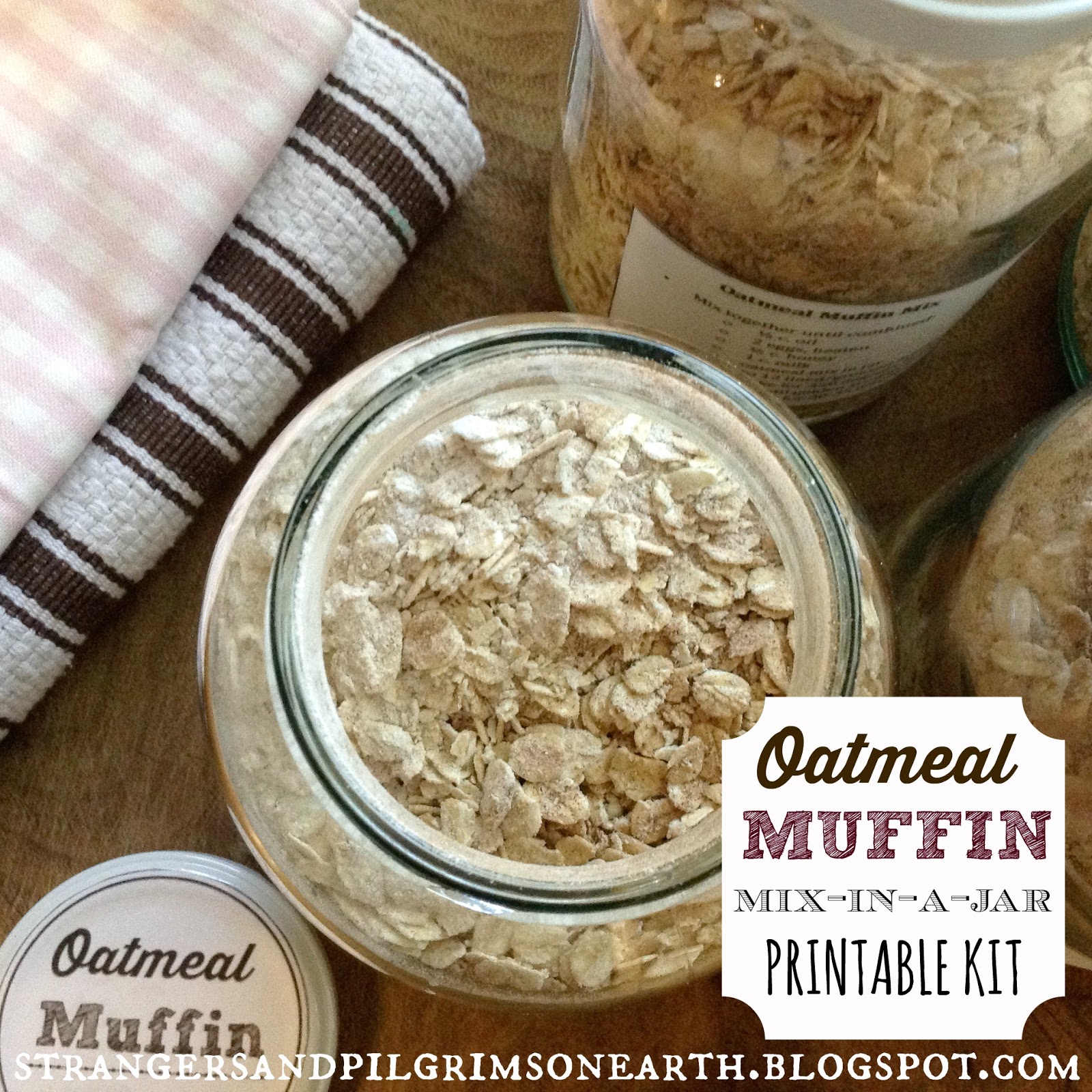 Make Your Own Oatmeal Muffin Mixes