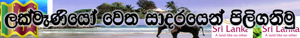 Sri Lankan biggest website
