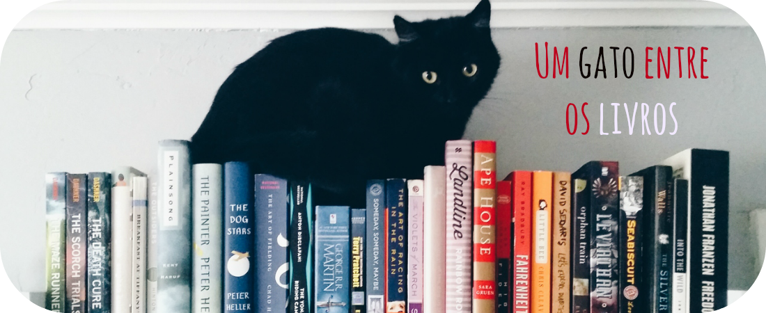 Um gato entre os livros