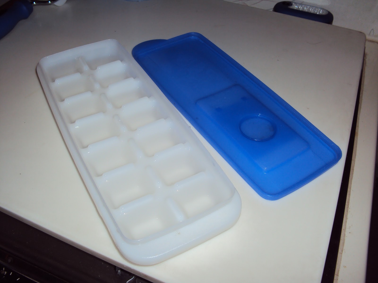 WanderMan Even The Simple Things Ice Cube Trays