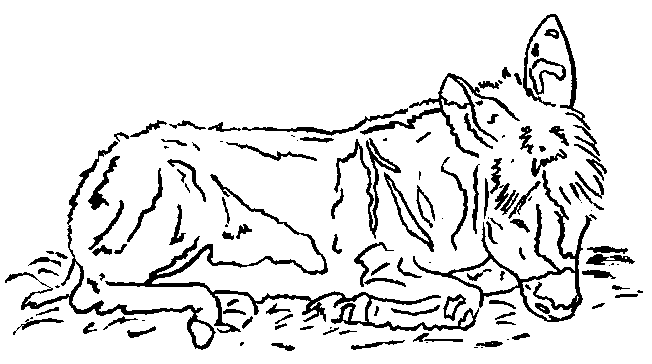 Cartoon Dead Dog Clipart Free Download