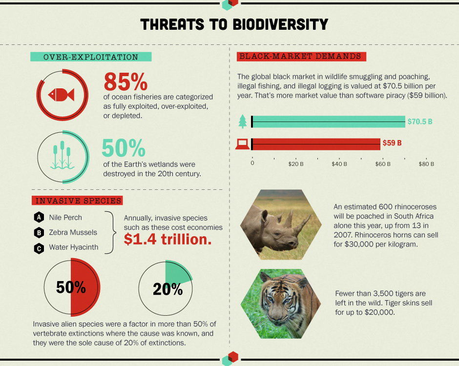 Erste Zeitung Erste Ausgabe Biodiversity