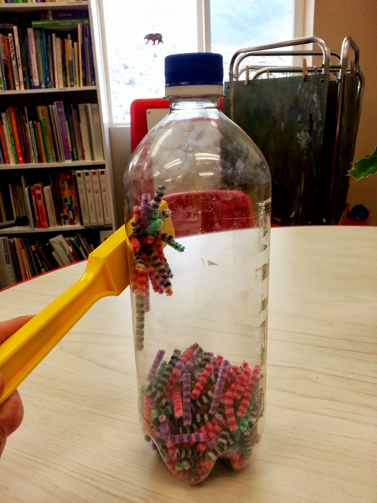 Choices for Children Pipe Cleaner Discovery Bottle