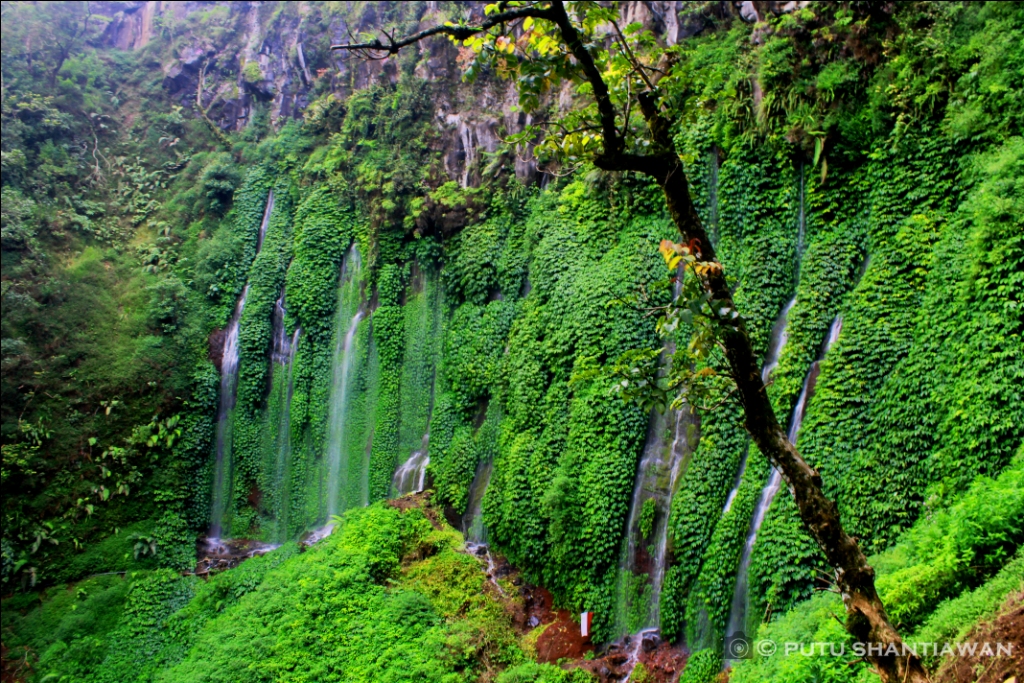 Travel and Photography - Putu's Traveling: Coban Pitu atau Grojogan