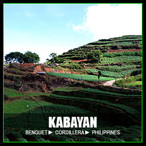 KABAYAN