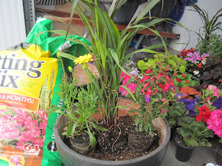 Do it Yourself Duo: May 2011