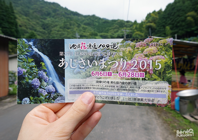 Mikaeri Falls' hydrangea festival // 見帰りの滝のあじさいまつり