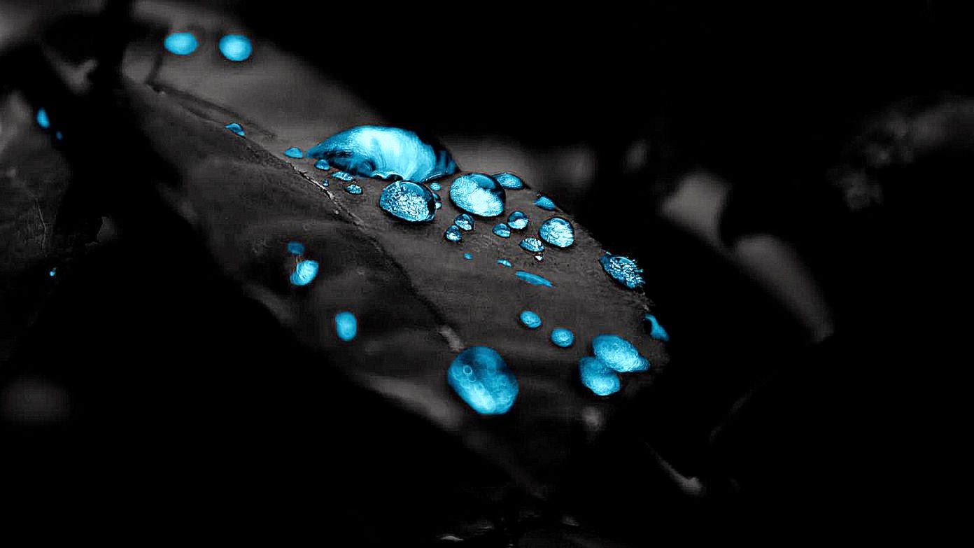 Blue raindrops wallpaper 2560x1600 27152 High Quality and Blue raindrops wallpaper 2560x1600 27152 High Quality and