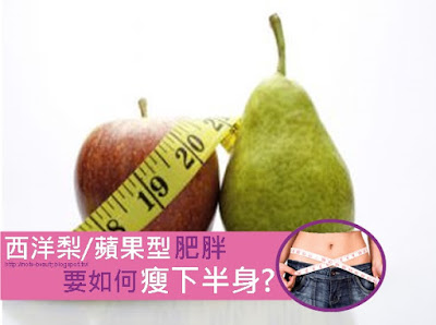 西洋梨/蘋果型肥胖要如何瘦下半身? 西洋梨/蘋果型肥胖要如何瘦下半身?