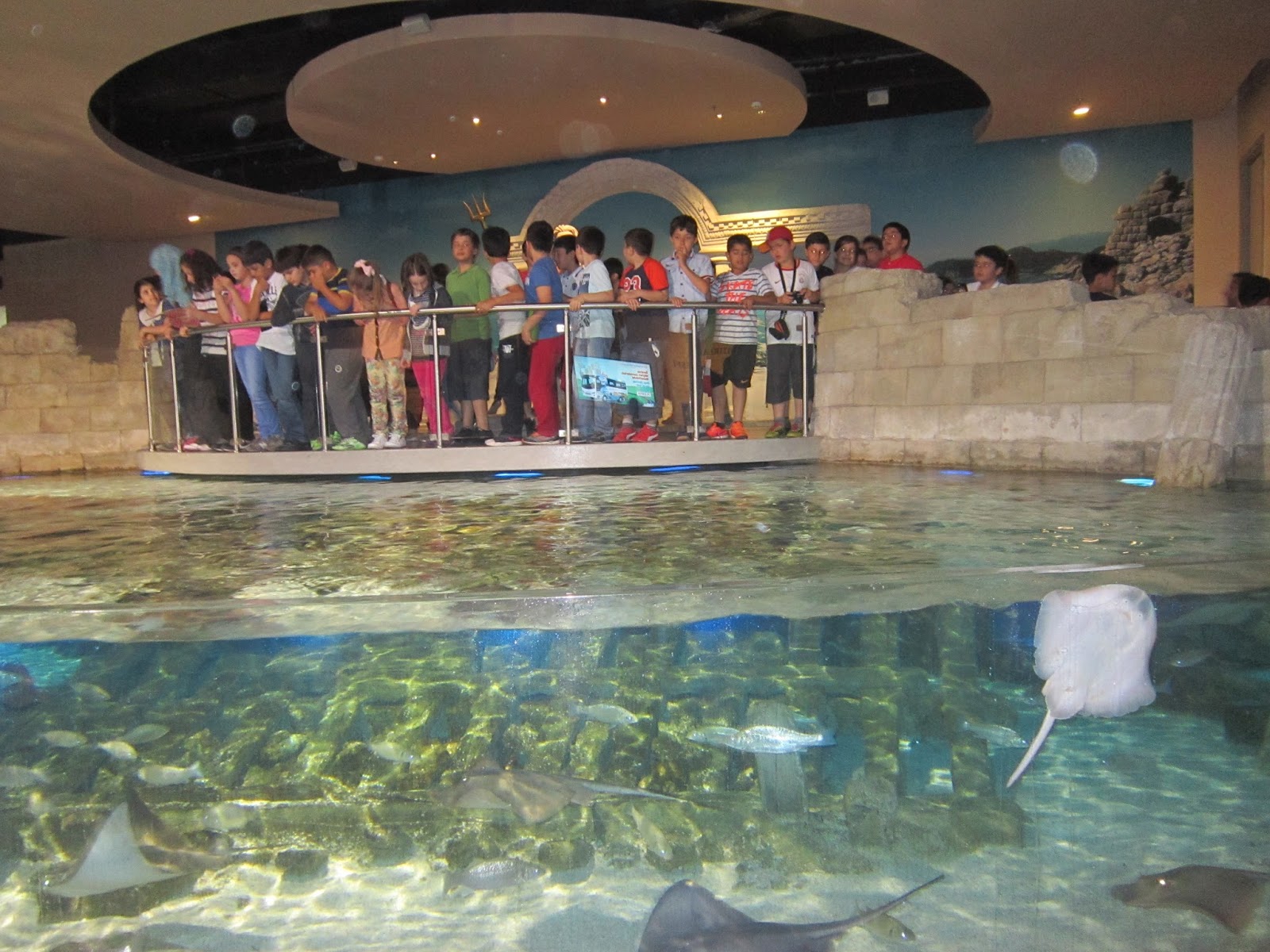 Imamoglu Istanbul Akvaryum Gezisi