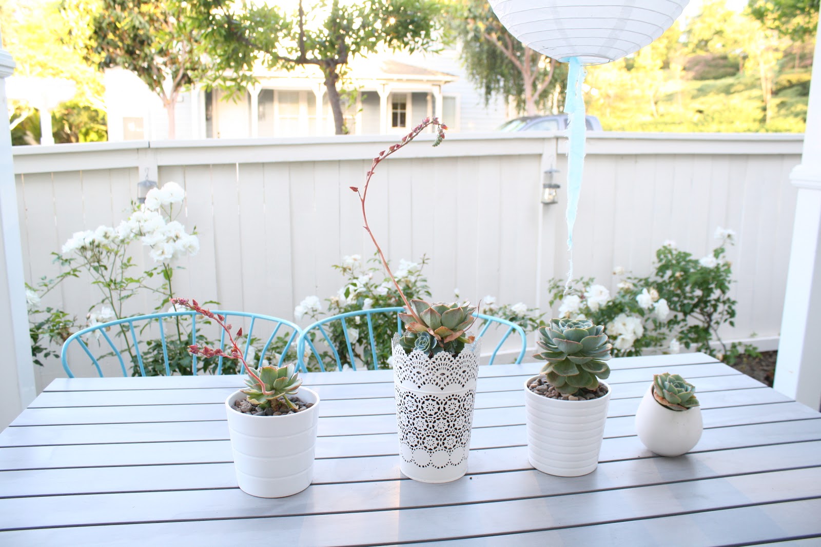 coach wallets whitefence