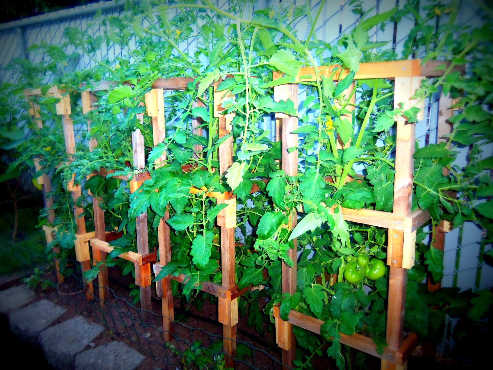 Great Dana's Workshop: How to build your own sturdy tomato cage using