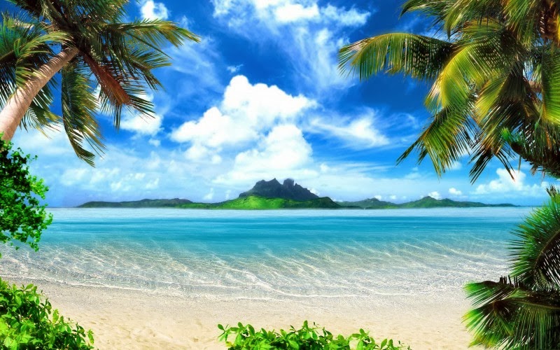 Cute Nature Wallpapers - Mobile wallpapers