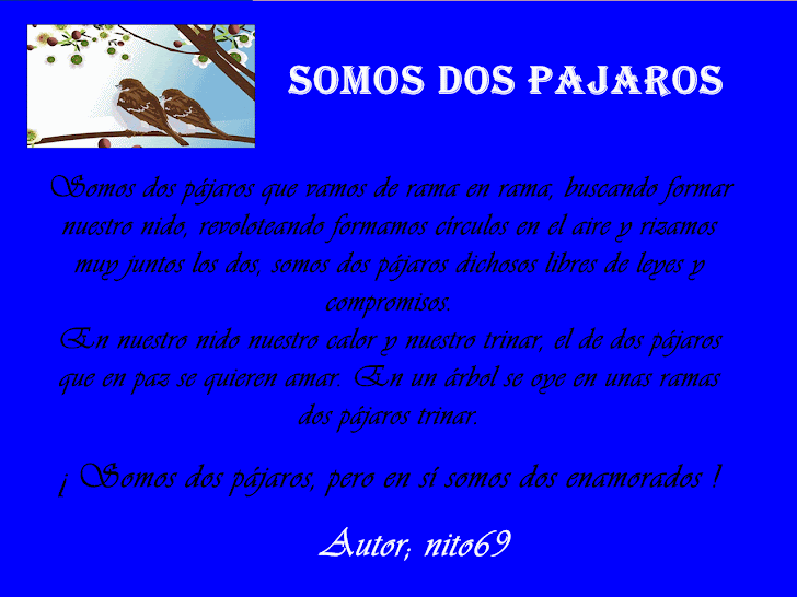 SOMOS DOS PAJAROS