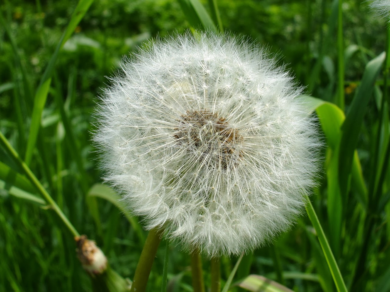 Wortwurdigungen Marz 2014