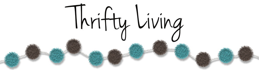 Ashley's Thrifty Living