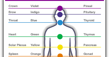Energy Systems of the Body | Family Foot Reflexology