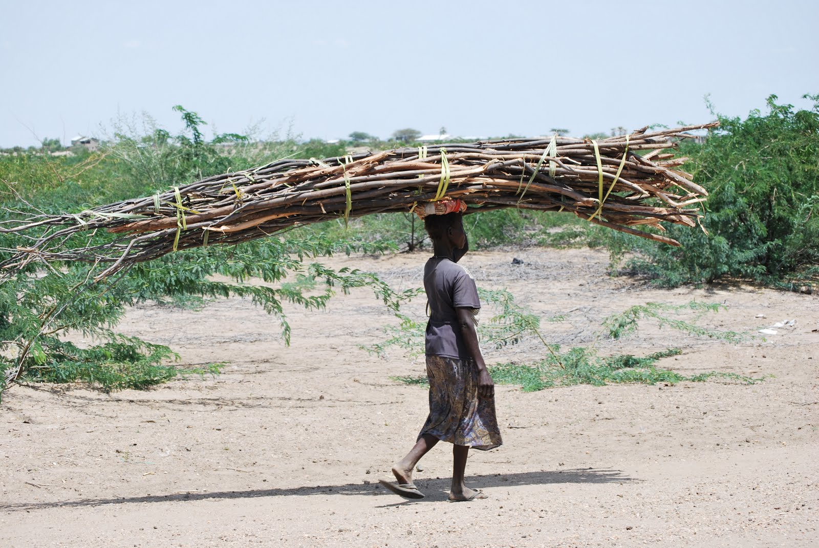 Juwarra S Blog March 2011