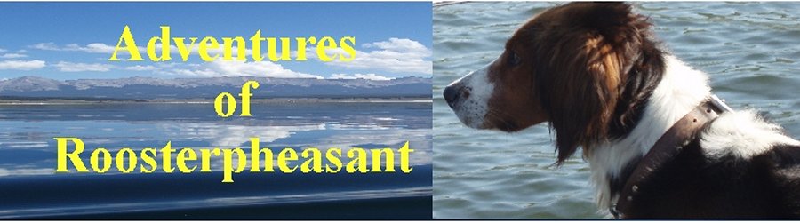 Hunting - Fishing Adventures of Roosterpheasant