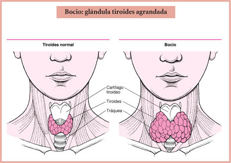 Writing an apa style essay image