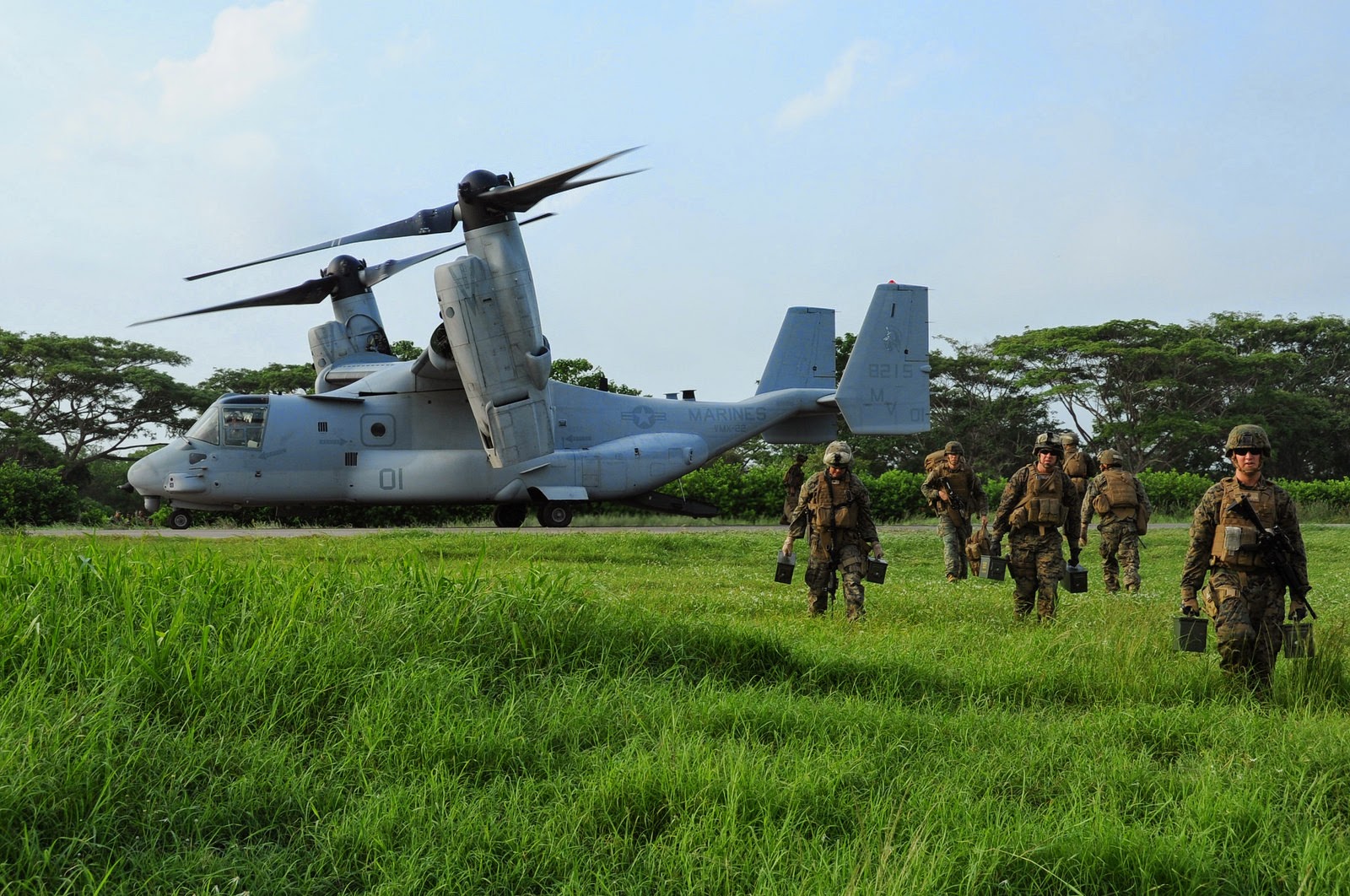 Resultado de imagen para ARM Papaloapan, bold alligator