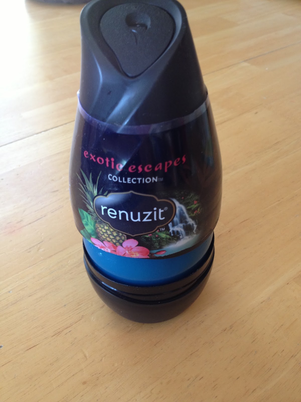 Adventures of a Thrifty Mommy Renuzit Adjustable Cones Review and
