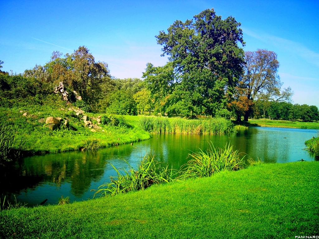 Wallpaper Hd Of Nature | hd wallpapers of nature mobile wallpapers Wallpaper Hd Of Nature | hd wallpapers of nature mobile wallpapers