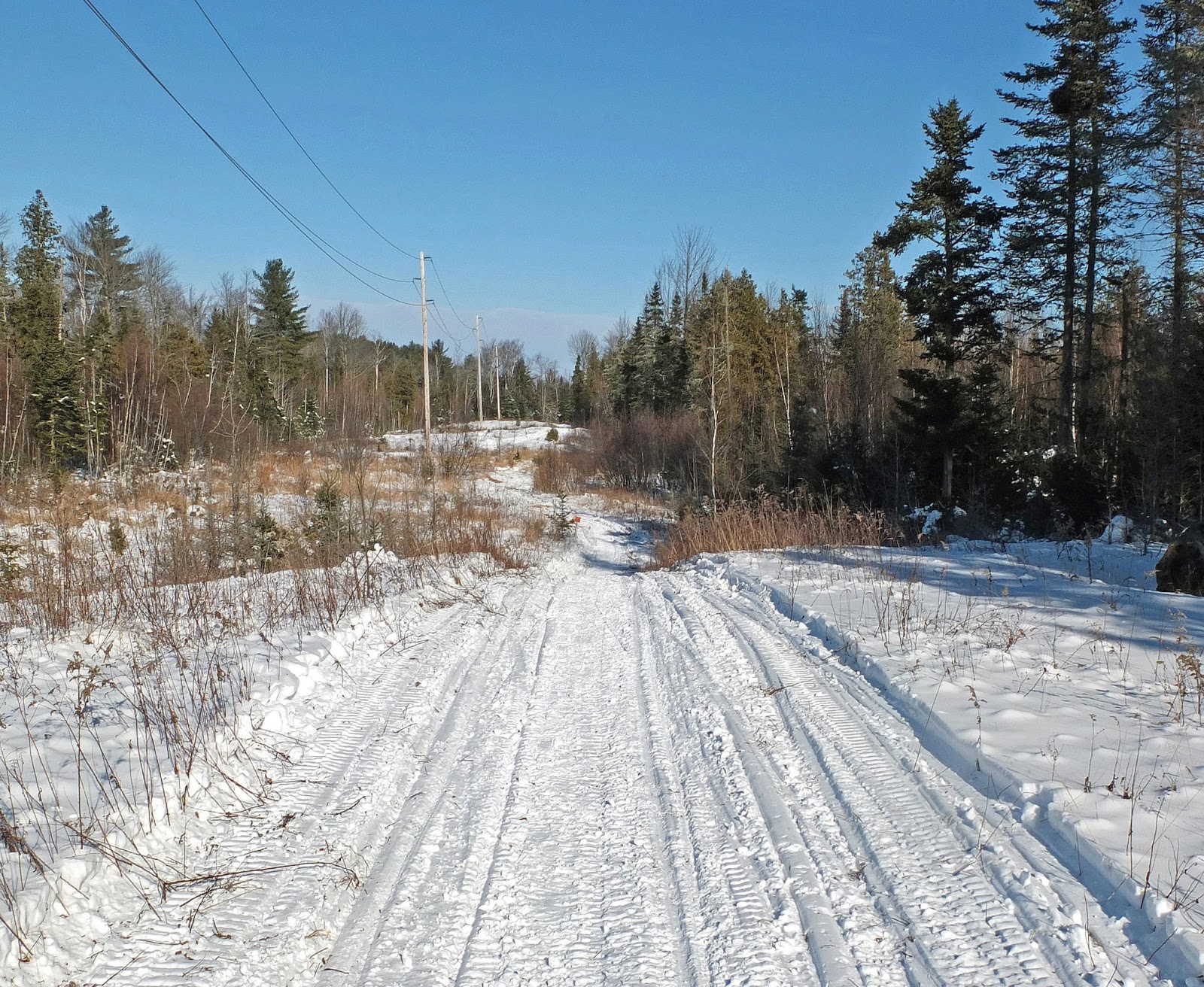 Hiking in Maine with Kelley 1/3/13 Snowmobile Trail