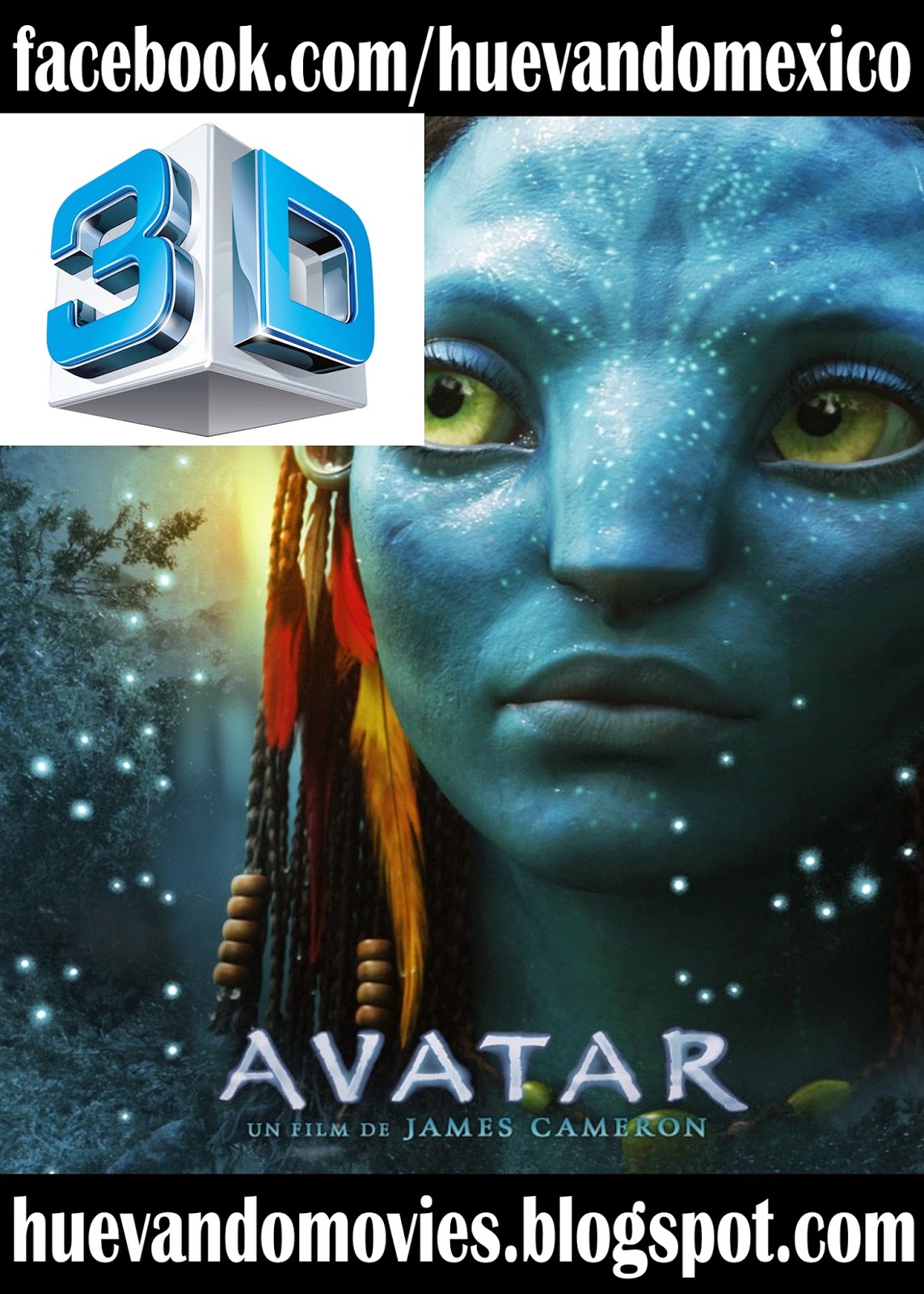 3d Avatar Movies Full Hd 1080p LIFE TIME MANAGEMENT