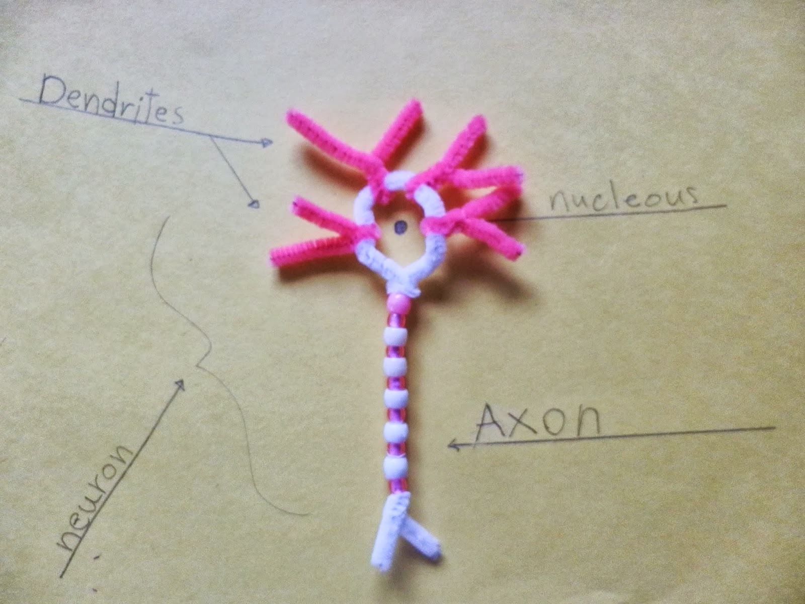 Pocket full of Poesies October 2013