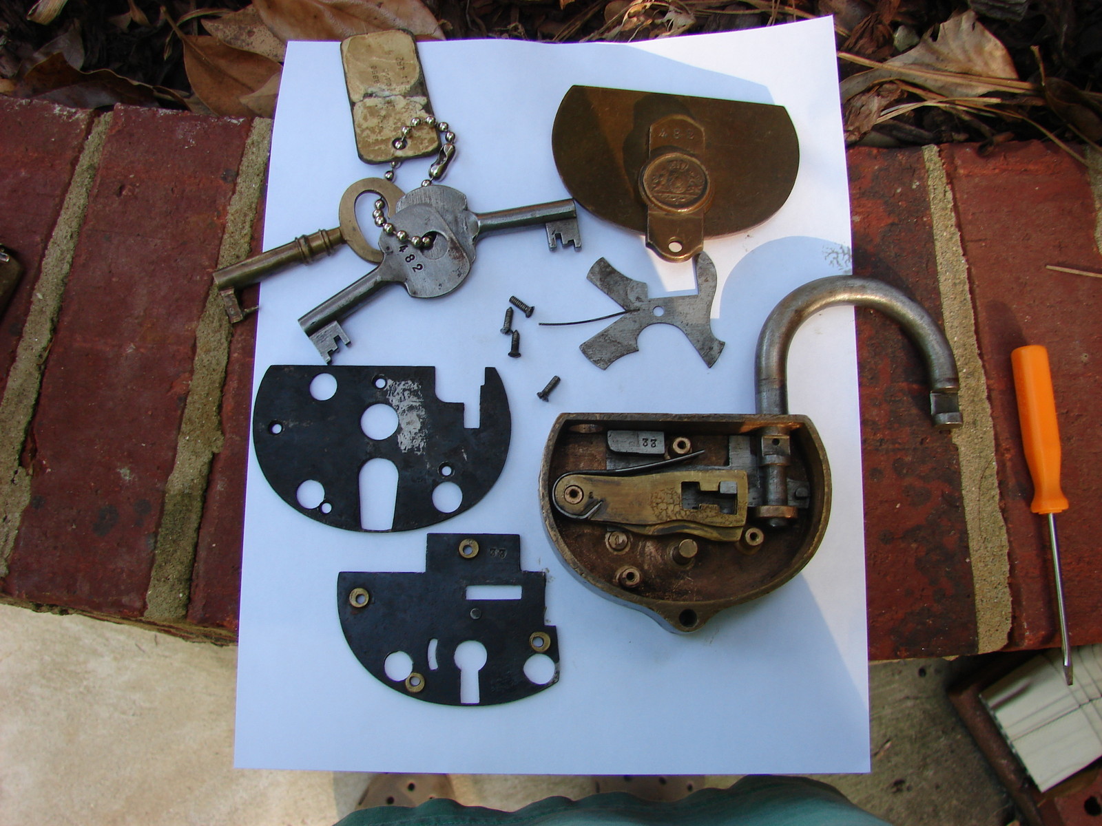 RestraintsBlog LARGE BRASS SEAL LOCK